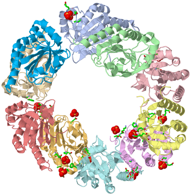 Image Asym./Biol. Unit - sites