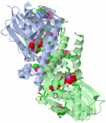 Image Asym./Biol. Unit - sites