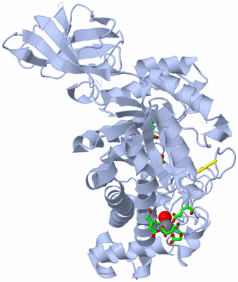 Image Biol. Unit 1 - sites