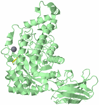 Image Biological Unit 2