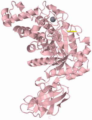 Image Biological Unit 3