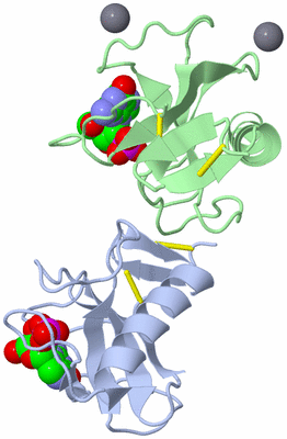 Image Asymmetric Unit