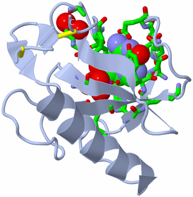 Image Biol. Unit 1 - sites