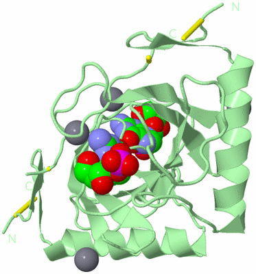 Image Biological Unit 3