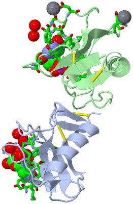 Image Asym. Unit - sites