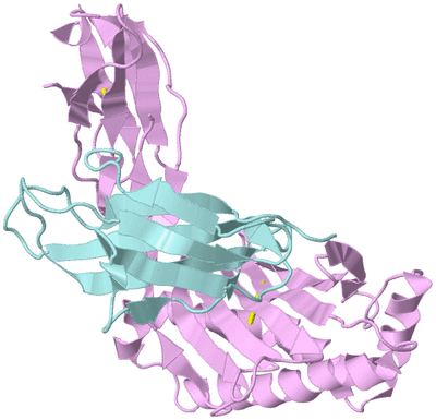 Image Biological Unit 3