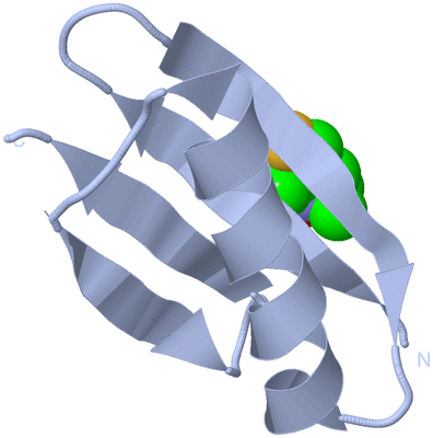 Image Biological Unit 1