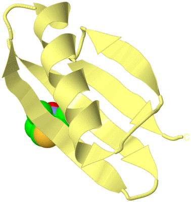 Image Biological Unit 4