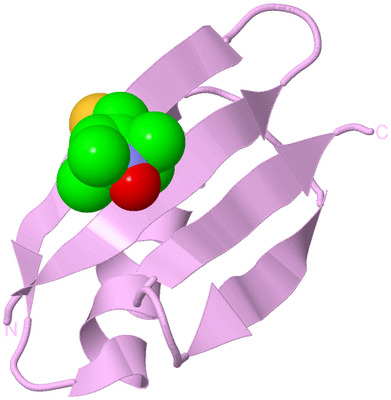 Image Biological Unit 5