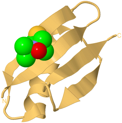 Image Biological Unit 7