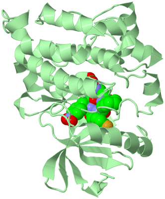 Image Biological Unit 2