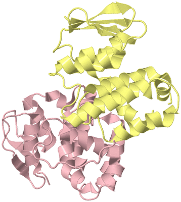 Image Biological Unit 2