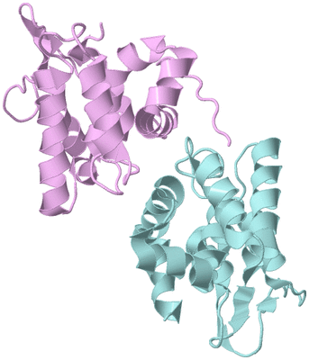 Image Biological Unit 3