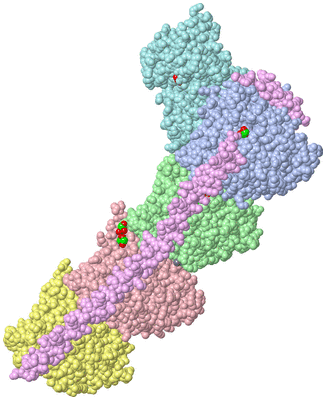 Image Asym./Biol. Unit