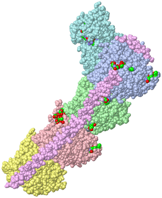 Image Asym./Biol. Unit - sites