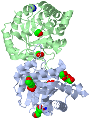 Image Asym./Biol. Unit