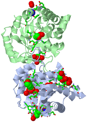 Image Asym./Biol. Unit - sites