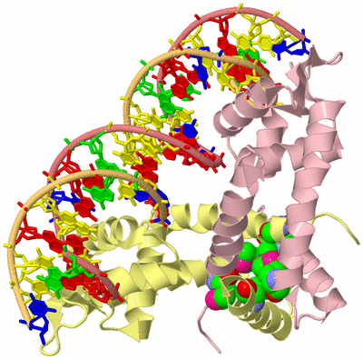 Image Biological Unit 2