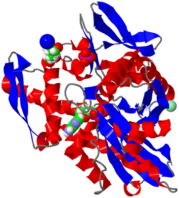 Image Asym./Biol. Unit