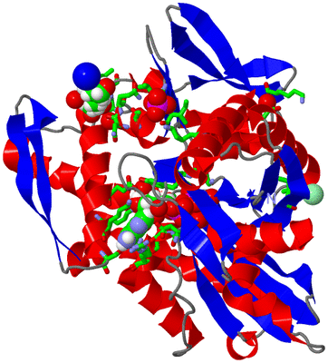 Image Asym./Biol. Unit - sites