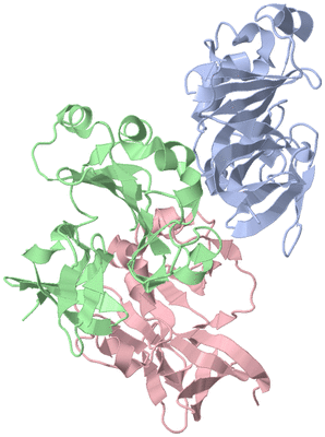 Image Asymmetric Unit