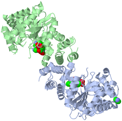 Image Biological Unit 1