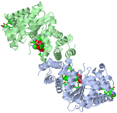 Image Biol. Unit 1 - sites