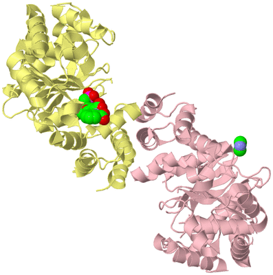 Image Biological Unit 2