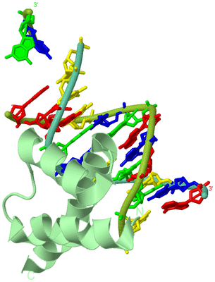 Image Biological Unit 1