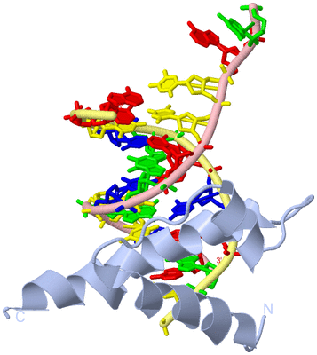 Image Biological Unit 2