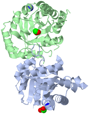 Image Asym./Biol. Unit