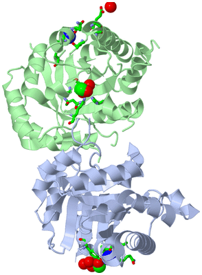 Image Asym./Biol. Unit - sites