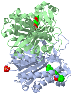 Image Asym./Biol. Unit