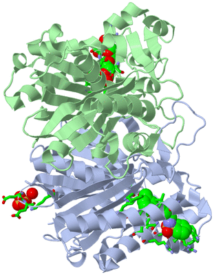 Image Asym./Biol. Unit - sites