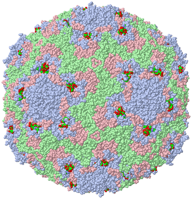 Image Biol. Unit 1 - sites