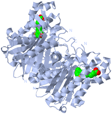 Image Biological Unit 1