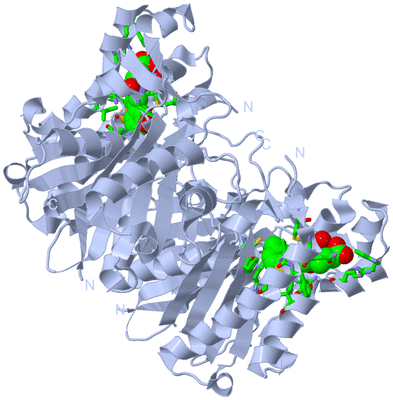 Image Biol. Unit 1 - sites