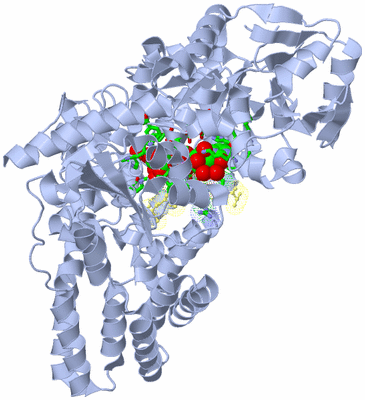 Image Asym./Biol. Unit - sites