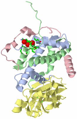 Image Asym./Biol. Unit - sites