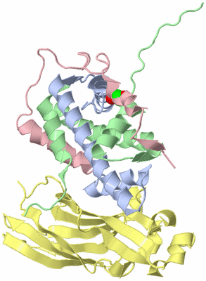 Image Asym./Biol. Unit