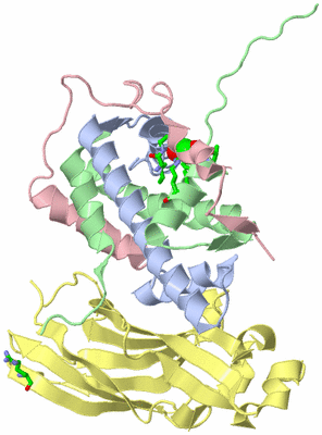 Image Asym./Biol. Unit - sites