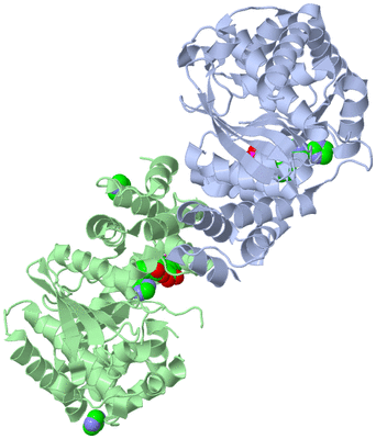 Image Asym./Biol. Unit