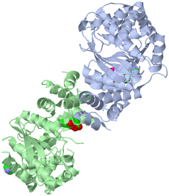 Image Asym./Biol. Unit