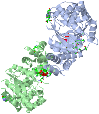 Image Asym./Biol. Unit - sites