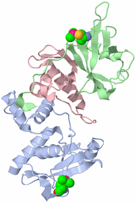 Image Biological Unit 1