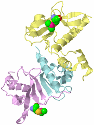 Image Biological Unit 2