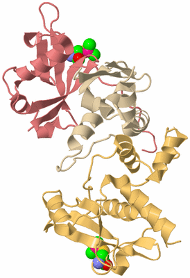 Image Biological Unit 3