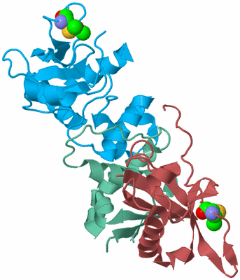 Image Biological Unit 4