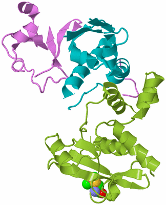 Image Biological Unit 5