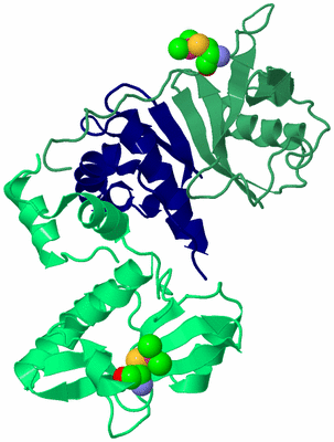 Image Biological Unit 6